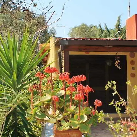 Blue Corner Porto Pollo 3*